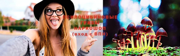 ГАЛЛЮЦИНОГЕННЫЕ ГРИБЫ Абинск