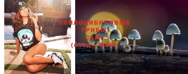 гидропоника Алексин