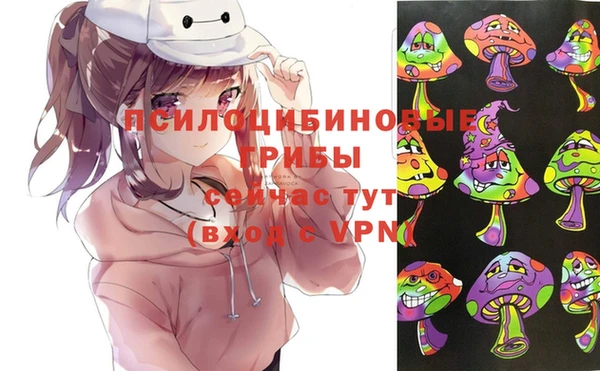 гидропоника Алексин