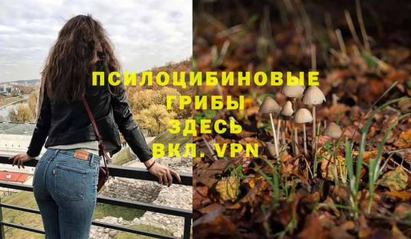 стафф Алексеевка