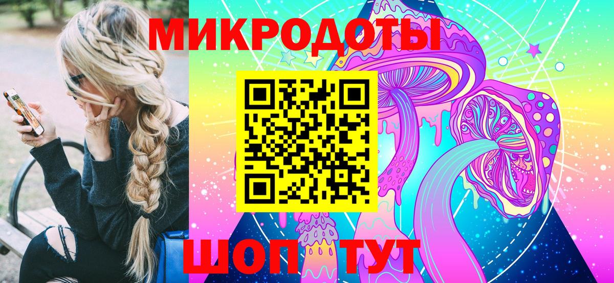 Галлюциногенные грибы Cubensis Тавда