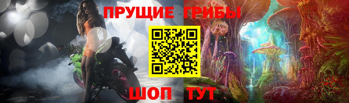 Тавда  Галлюциногенные грибы мицелий  где продают наркотики  Вход с VPN  Псилоцибиновые грибы GOLDEN TEACHER 